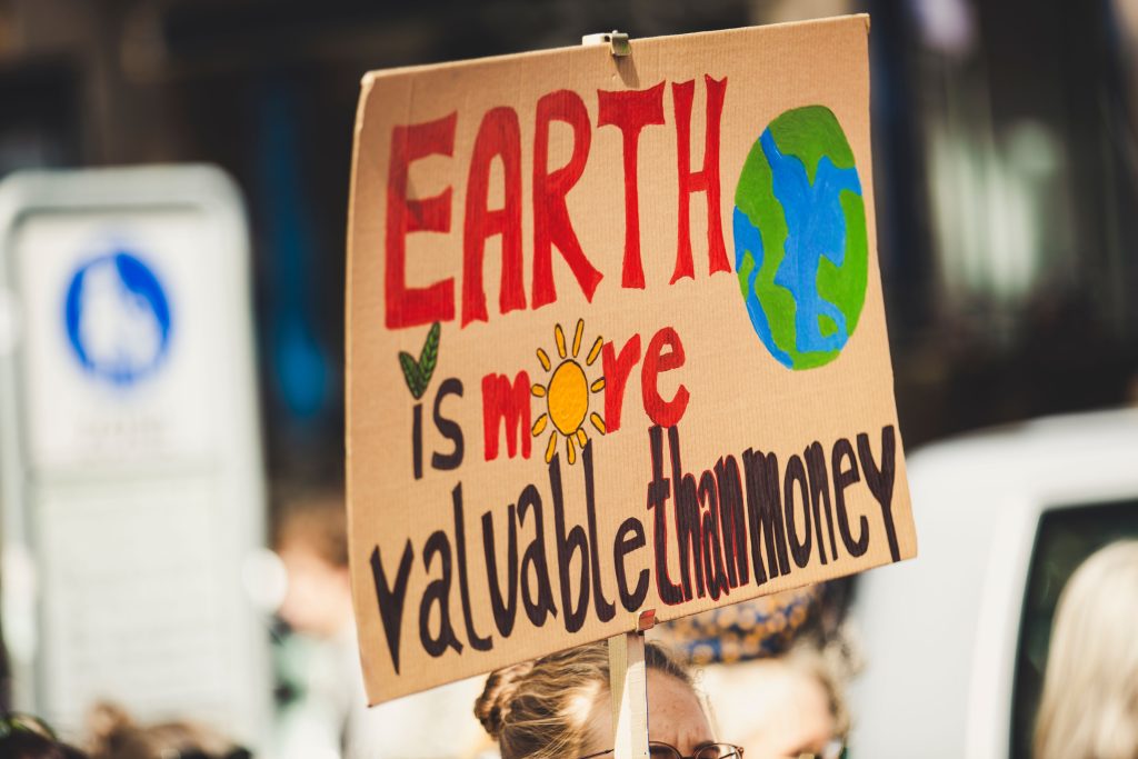 Cardboard sign with colorful lettering and a painted Earth held up during an environmental demonstration.